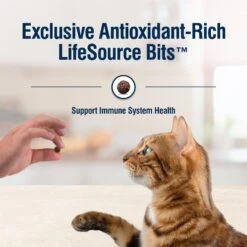 Blue Buffalo True Solutions Perfect Skin & Coat Natural Salmon Adult Dry Cat Food -Wellness Sales 218303 PT6. AC SS1800 V1696449988