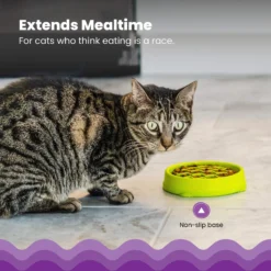 Petstages Kitty Slow Feeder 9 Petstages Kitty Slow Feeder -Wellness Sales 227086 PT2. AC SS1800 V1700515753