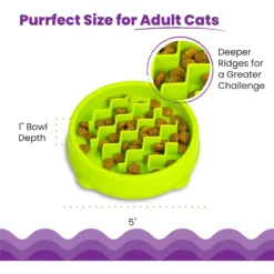 Petstages Kitty Slow Feeder 11 Petstages Kitty Slow Feeder -Wellness Sales 227086 PT4. AC SS1800 V1700515751