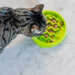 Petstages Kitty Slow Feeder 12 Petstages Kitty Slow Feeder -Wellness Sales 227086 PT5. AC SS1800 V1700515753