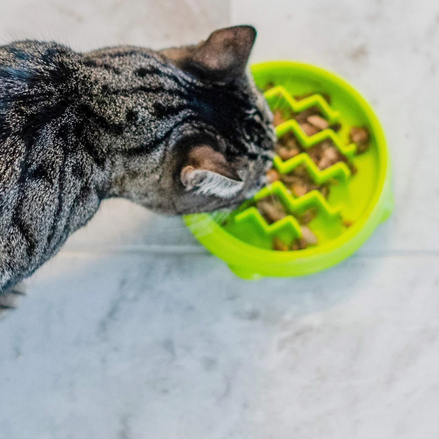 Petstages Kitty Slow Feeder 6 Petstages Kitty Slow Feeder - Image 6