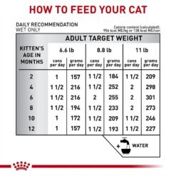 Royal Canin Veterinary Diet Kitten Gastrointestinal Ultra Soft Mousse In Sauce Canned Cat Food -Wellness Sales 228177 PT6. AC SS1800 V1691438213