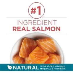 Purina ONE Tender Selects Blend With Real Salmon Dry Cat Food -Wellness Sales 231097 PT2. AC SS1800 V1677532097