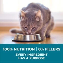 Purina ONE Tender Selects Blend With Real Salmon Dry Cat Food -Wellness Sales 231097 PT6. AC SS1800 V1677532830