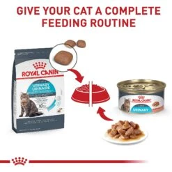 Royal Canin Feline Care Nutrition Urinary Care Adult Dry Cat Food -Wellness Sales 234598 PT5. AC SS1800 V1697753769