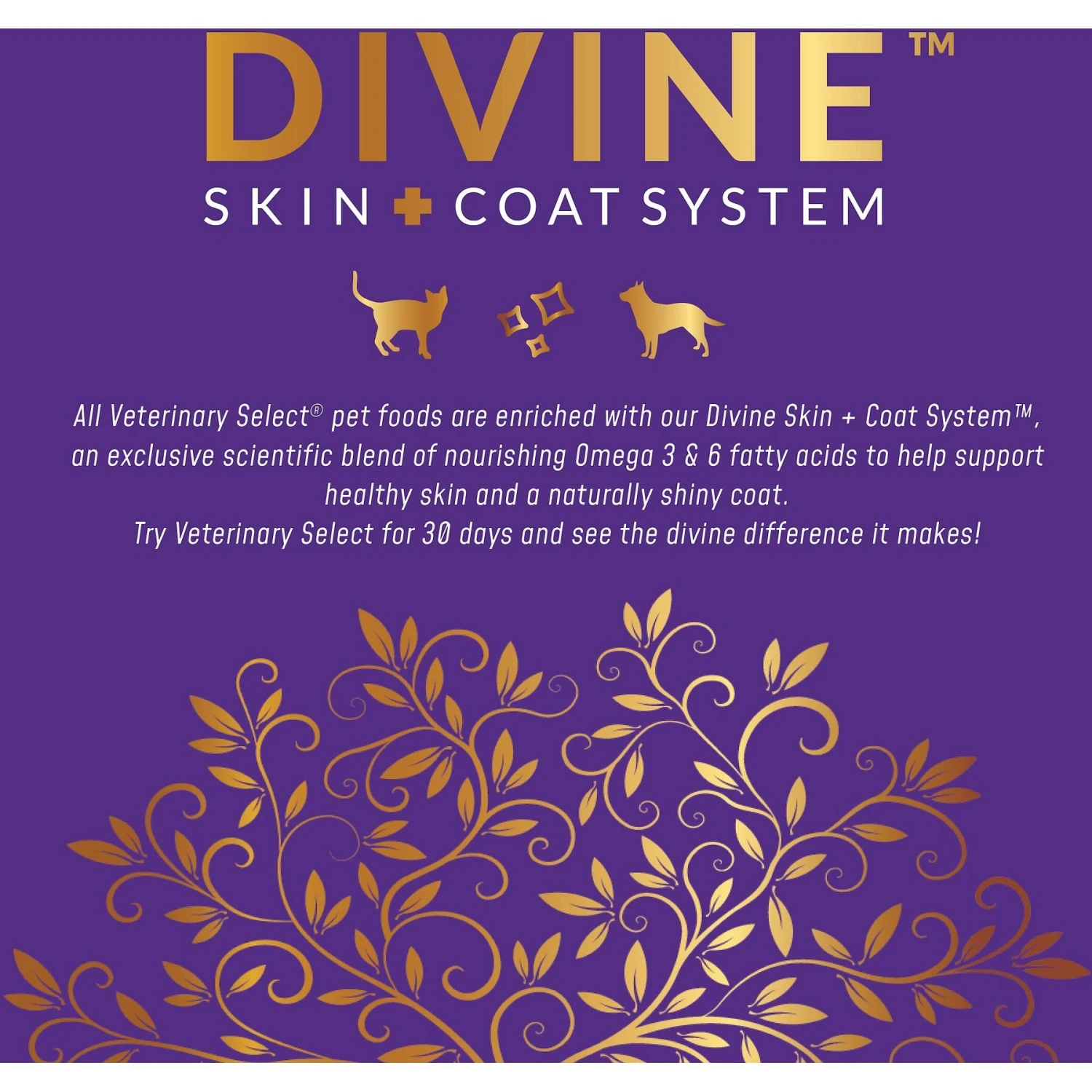 Veterinary Select Indoor Care Dry Cat Food, 4-lb Bag 6 Veterinary Select Indoor Care Dry Cat Food, 4-lb Bag - Image 6