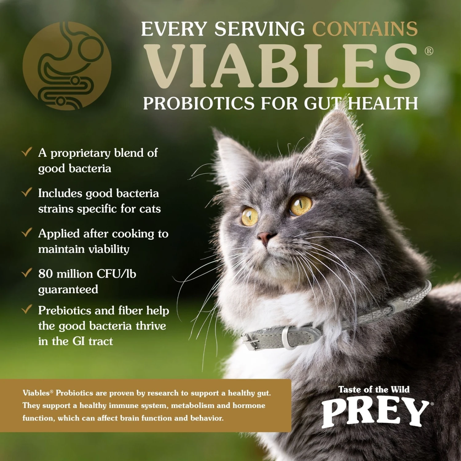 Taste Of The Wild PREY Turkey Formula Limited Ingredient Recipe Dry Cat Food 6 Taste Of The Wild PREY Turkey Formula Limited Ingredient Recipe Dry Cat Food - Image 6