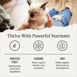 American Journey Kitten Pate Chicken Recipe Grain-Free Canned Cat Food, 3-oz, Case Of 24 -Wellness Sales 242872 PT5. AC SS1800 V1689951384