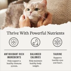 American Journey Indoor Recipe With Salmon Grain-Free Dry Cat Food, 12-lb Bag -Wellness Sales 243726 PT4. AC SS1800 V1668737148