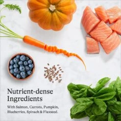 American Journey Indoor Recipe With Salmon Grain-Free Dry Cat Food, 12-lb Bag -Wellness Sales 243726 PT5. AC SS1800 V1680787130