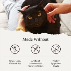 American Journey Indoor Recipe With Salmon Grain-Free Dry Cat Food, 12-lb Bag -Wellness Sales 243726 PT6. AC SS1800 V1680787131