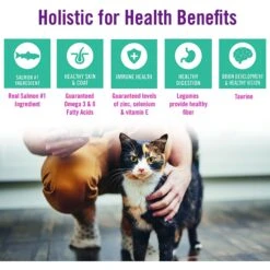 Chicken Soup For The Soul Salmon & Legumes Recipe Grain-Free Dry Cat Food -Wellness Sales 244610 PT5. AC SS1800 V1596123668