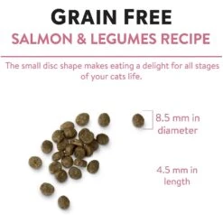 Chicken Soup For The Soul Salmon & Legumes Recipe Grain-Free Dry Cat Food -Wellness Sales 244610 PT6. AC SS1800 V1596222369