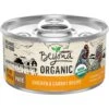Purina Beyond High Protein Organic Chicken & Carrot Recipe Wet Cat Food, 3-oz Can, Case Of 12