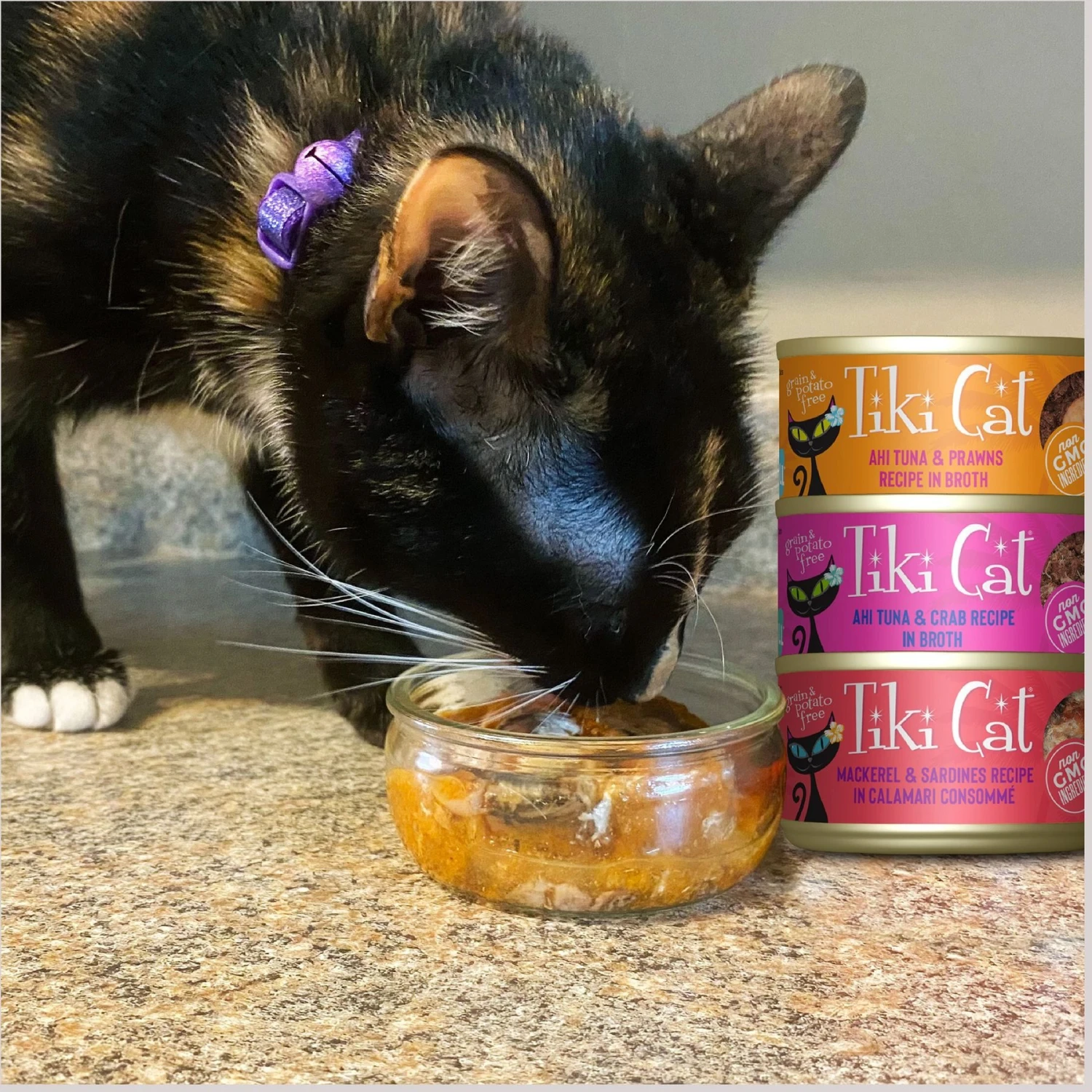 Tiki Cat Seafood Selects Variety Pack Grain-Free Wet Cat Food, 2.8-oz, Case Of 36 7 Tiki Cat Seafood Selects Variety Pack Grain-Free Wet Cat Food, 2.8-oz, Case Of 36 - Image 7