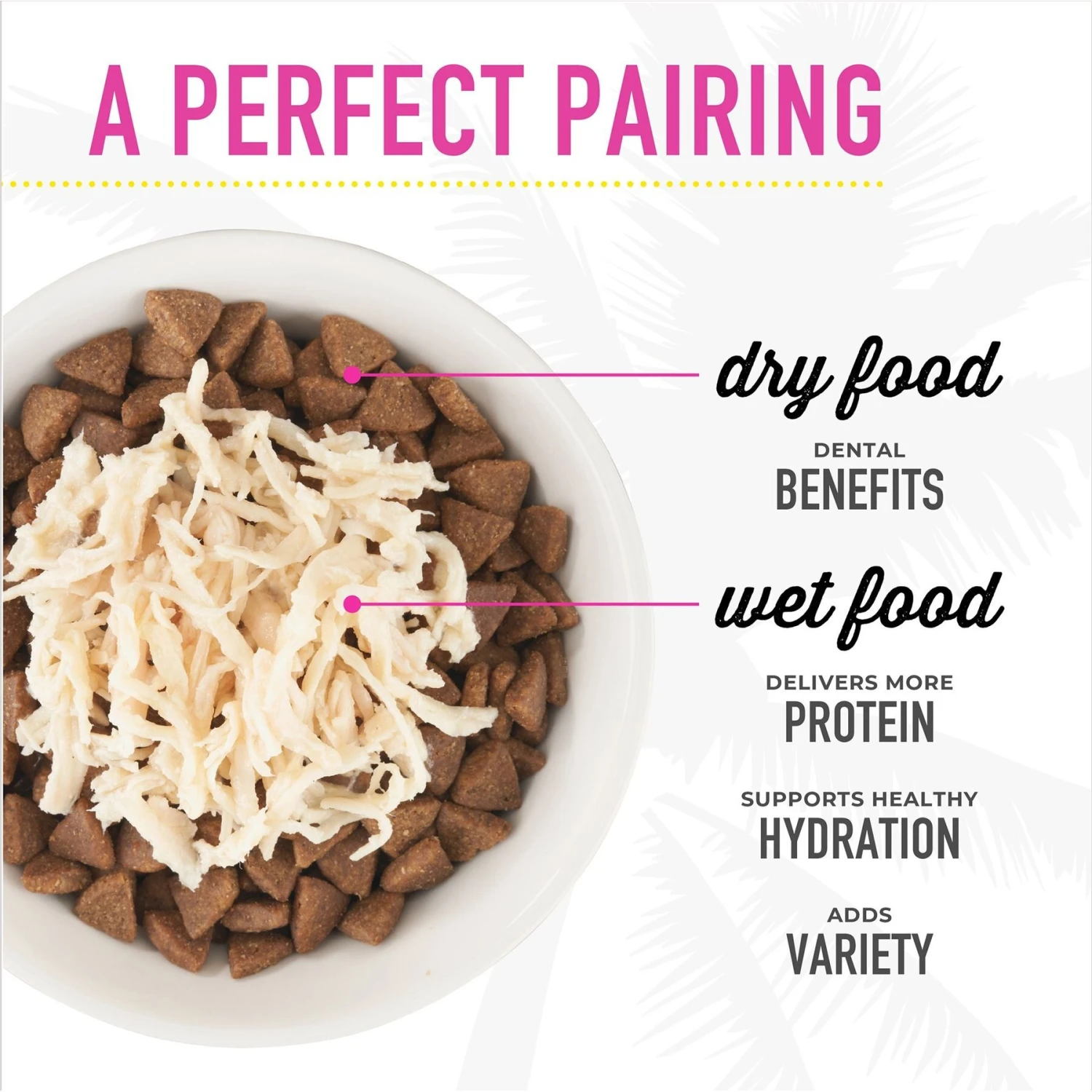 Tiki Cat Seafood Selects Variety Pack Grain-Free Wet Cat Food, 2.8-oz, Case Of 36 9 Tiki Cat Seafood Selects Variety Pack Grain-Free Wet Cat Food, 2.8-oz, Case Of 36 - Image 9