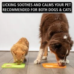 Hyper Pet IQ Rewards Cat & Dog Slow Feeder 9 Hyper Pet IQ Rewards Cat & Dog Slow Feeder -Wellness Sales 258929 PT2. AC SS1800 V1605883620