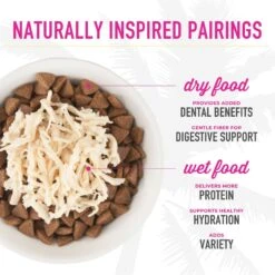 Tiki Cat Luau Velvet Mousse Salmon & Pumpkin In Broth Senior Wet Cat Food, 2.8-oz, Case Of 12 -Wellness Sales 259094 PT7. AC SS1800 V1700002220