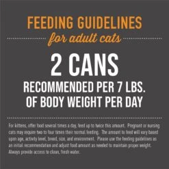 Tiki Cat Grill Tuna With Prawn Recipe Pate Wet Cat Food -Wellness Sales 259118 PT6. AC SS1800 V1605338227