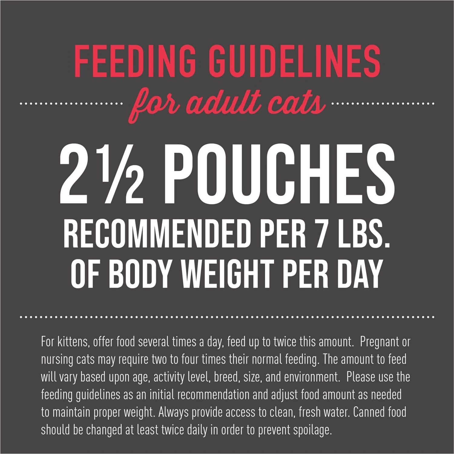 Tiki Cat Aloha Friends Chicken, Pumpkin & Beef Recipe In Broth Grain-Free Wet Cat Food 6 Tiki Cat Aloha Friends Chicken, Pumpkin & Beef Recipe In Broth Grain-Free Wet Cat Food - Image 6