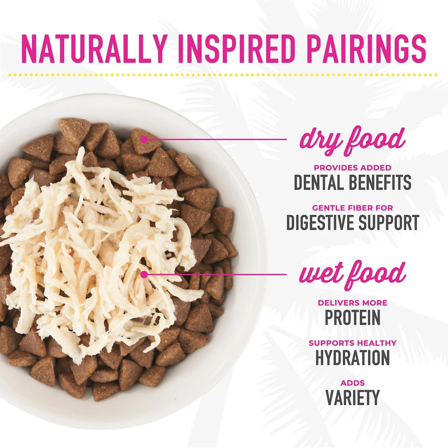 Tiki Cat Aloha Friends Chicken, Pumpkin & Beef Recipe In Broth Grain-Free Wet Cat Food 7 Tiki Cat Aloha Friends Chicken, Pumpkin & Beef Recipe In Broth Grain-Free Wet Cat Food - Image 7