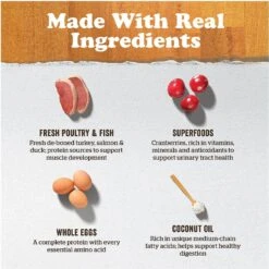 Now Fresh Grain-Free Senior Dry Cat Food -Wellness Sales 261237 PT3. AC SS1800 V1637791458