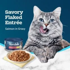 Blue Buffalo Tastefuls Salmon Entrée In Gravy Flaked Wet Cat Food, 3-oz Can, Case Of 24 11 Blue Buffalo Tastefuls Salmon Entrée In Gravy Flaked Wet Cat Food, 3-oz Can, Case Of 24 -Wellness Sales 264531 PT3. AC SS1800 V1630736821
