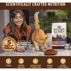 Wellness CORE Digestive Health Chicken & Turkey Pate Variety Pack Grain-Free Wet Cat Food -Wellness Sales 264904 PT4. AC SS1800 V1608692275