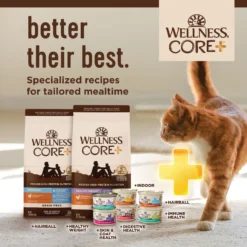 Wellness CORE Digestive Health Chicken & Turkey Pate Variety Pack Grain-Free Wet Cat Food -Wellness Sales 264904 PT7. AC SS1800 V1640206005