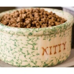 Dr. Gary's Best Breed Holistic All Life Stages Dry Cat Food -Wellness Sales 265428 PT3. AC SS1800 V1609885054