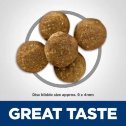 Hill's Science Diet Adult Perfect Digestion Salmon Dry Cat Food -Wellness Sales 266842 PT2. AC SS1800 V1614208613