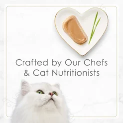 Fancy Feast Gourmet Petites Pate Collection Variety Pack Wet Cat Food -Wellness Sales 272241 PT8. AC SS1800 V1658191424