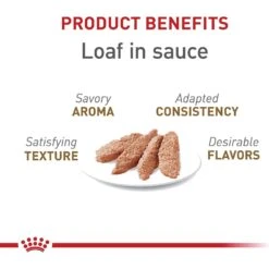 Royal Canin Feline Health Nutrition Aging 12+ Loaf In Sauce Canned Cat Food 11 Royal Canin Feline Health Nutrition Aging 12+ Loaf In Sauce Canned Cat Food -Wellness Sales 272682 PT2. AC SS1800 V1697733666