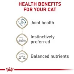 Royal Canin Feline Health Nutrition Aging 12+ Loaf In Sauce Canned Cat Food 12 Royal Canin Feline Health Nutrition Aging 12+ Loaf In Sauce Canned Cat Food -Wellness Sales 272682 PT3. AC SS1800 V1697759567