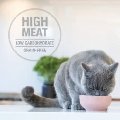 Feline Natural Chicken & Lamb Feast Grain-Free Wet Cat Food, 3-oz Pouch, Case Of 12 10 Feline Natural Chicken & Lamb Feast Grain-Free Wet Cat Food, 3-oz Pouch, Case Of 12 -Wellness Sales 277488 PT3. AC SS1800 V1686058413