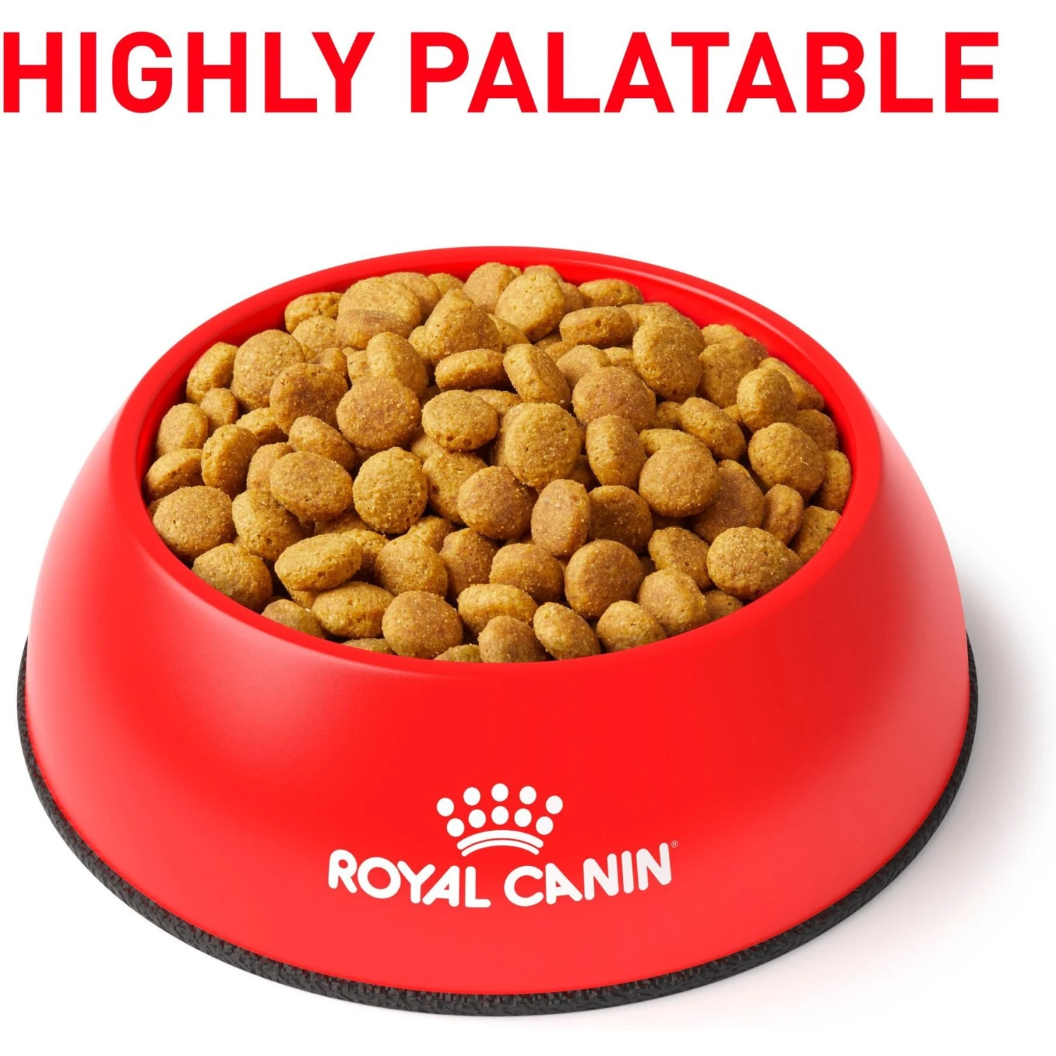 Royal Canin Veterinary Diet Adult Renal Support Early Consult Dry Cat Food 3 Royal Canin Veterinary Diet Adult Renal Support Early Consult Dry Cat Food - Image 3