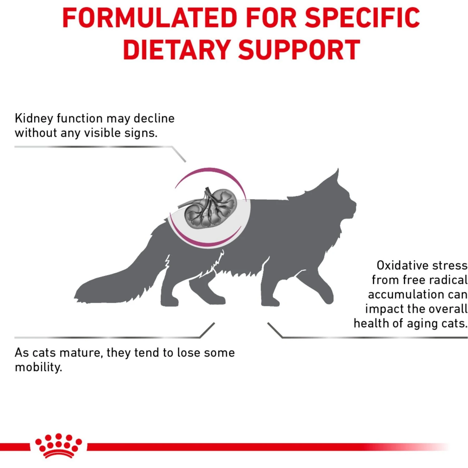 Royal Canin Veterinary Diet Adult Renal Support Early Consult Dry Cat Food 4 Royal Canin Veterinary Diet Adult Renal Support Early Consult Dry Cat Food - Image 4