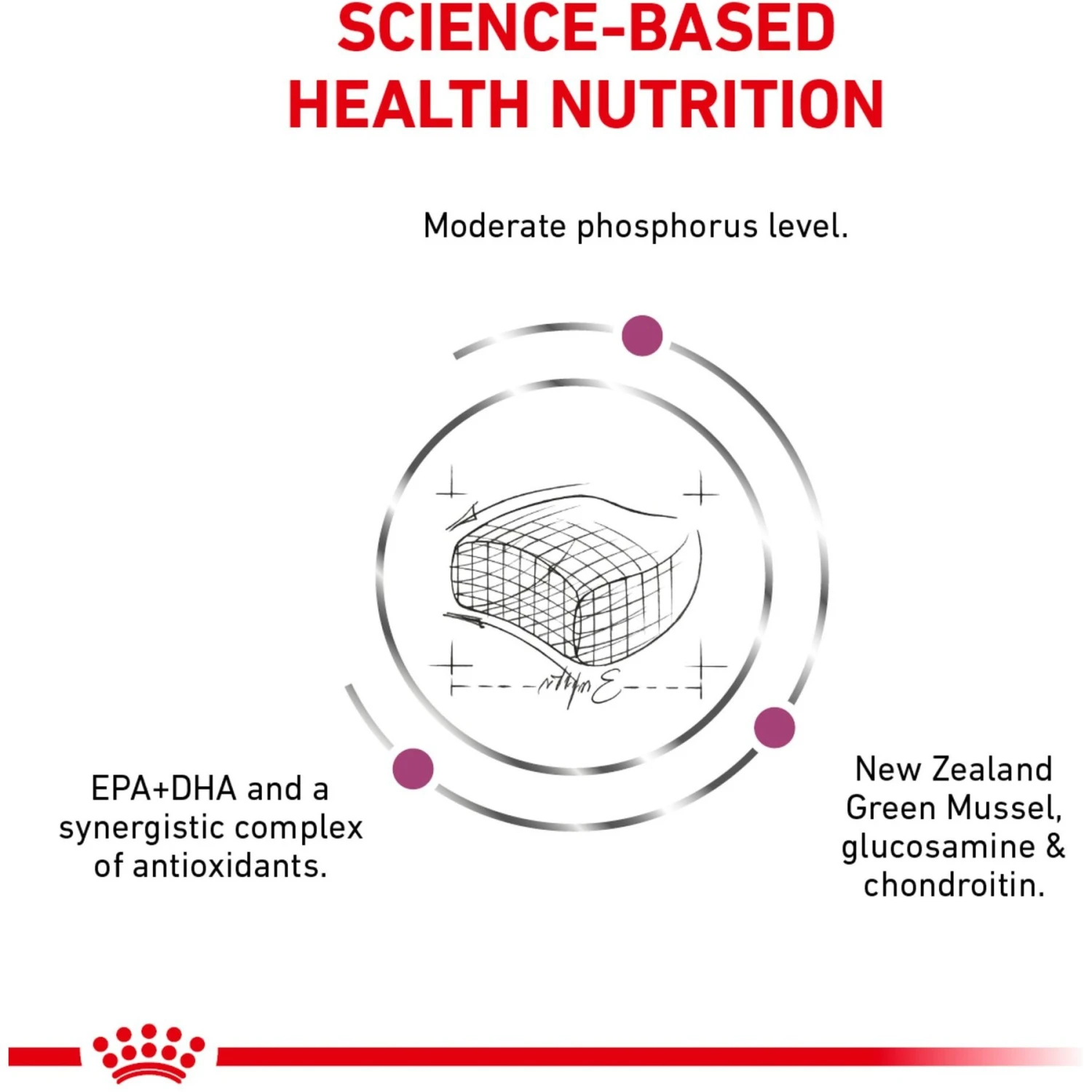 Royal Canin Veterinary Diet Adult Renal Support Early Consult Dry Cat Food 5 Royal Canin Veterinary Diet Adult Renal Support Early Consult Dry Cat Food - Image 5