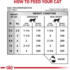 Royal Canin Veterinary Diet Adult Renal Support Early Consult Loaf In Sauce Canned Cat Food -Wellness Sales 278913 PT5. AC SS1800 V1701882070