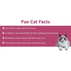 Doc & Phoebe's Cat Co. The Wet Feeder Cat Slow Feeder, Blue -Wellness Sales 279343 PT6. AC SS1800 V1617399450