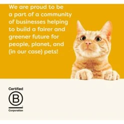 Applaws Chicken Breast In Broth Wet Kitten Food, 2.47-oz Can, Case Of 24 -Wellness Sales 286443 PT6. AC SS1800 V1658151926