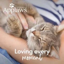 Applaws Mousse Chicken Grain-Free Wet Cat Food, 2.47-oz Can, Case Of 24 -Wellness Sales 286447 PT6. AC SS1800 V1658152791