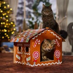 Frisco Holiday Gingerbread House Cardboard Cat House Cat Toy -Wellness Sales 287289 PT4. AC SS1800 V1694813217