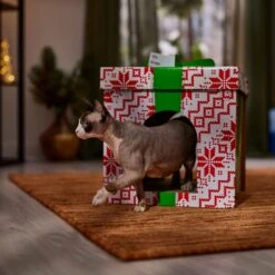 Frisco Holiday Gift Box Cardboard Cat House 10 Frisco Holiday Gift Box Cardboard Cat House -Wellness Sales 287291 PT4. AC SS1800 V1695045716