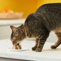 Meow Mix Tasty Layers Variety Pack Swirled Paté Cat Food, 2.75-oz Can, Case Of 12 14 Meow Mix Tasty Layers Variety Pack Swirled Paté Cat Food, 2.75-oz Can, Case Of 12 -Wellness Sales 292092 PT5. AC SS1800 V1670940401