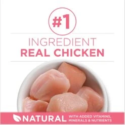 Fancy Feast Tender Feast Variety Pack Canned Kitten Food & Purina ONE +Plus Healthy Kitten Formula Natural Dry Cat Food -Wellness Sales 292998 PT8. AC SS1800 V1679927720