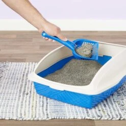 Iams ProActive Health Indoor Weight & Hairball Care Adult Dry Cat Food & Arm & Hammer Litter Slide Multi-Cat Scented Clumping Clay Cat Litter 13 Iams ProActive Health Indoor Weight & Hairball Care Adult Dry Cat Food & Arm & Hammer Litter Slide Multi-Cat Scented Clumping Clay Cat Litter -Wellness Sales 293248 PT6. AC SS1800 V1620245551