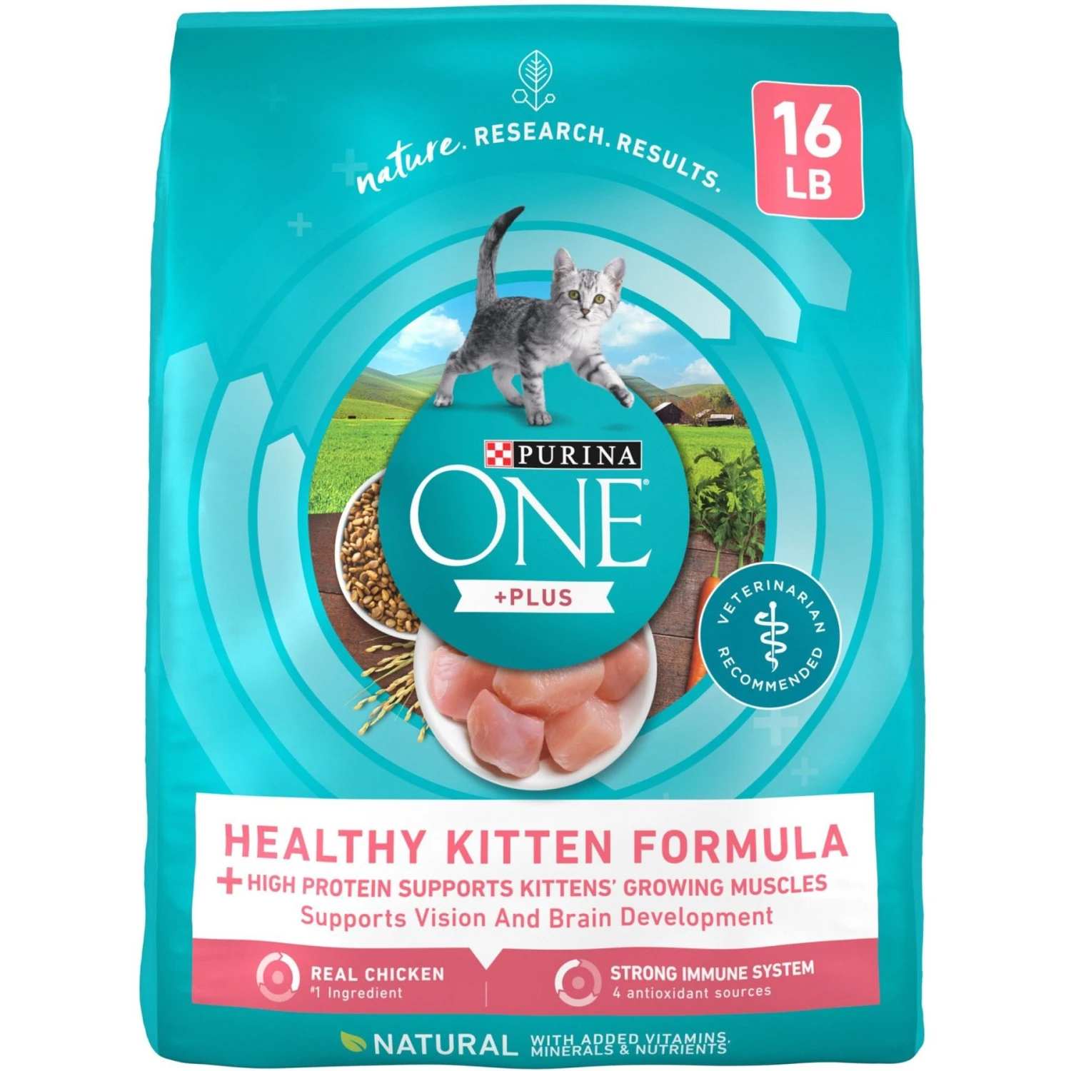Purina ONE +Plus Healthy Kitten Formula Natural Dry Cat Food & Purina Pro Plan Focus Kitten Favorites Variety Pack Canned Cat Food 2 Purina ONE +Plus Healthy Kitten Formula Natural Dry Cat Food & Purina Pro Plan Focus Kitten Favorites Variety Pack Canned Cat Food - Image 2