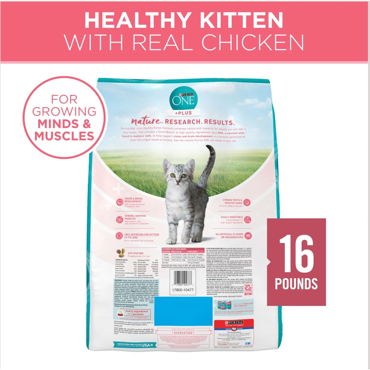 Purina ONE +Plus Healthy Kitten Formula Natural Dry Cat Food & Purina Pro Plan Focus Kitten Favorites Variety Pack Canned Cat Food 3 Purina ONE +Plus Healthy Kitten Formula Natural Dry Cat Food & Purina Pro Plan Focus Kitten Favorites Variety Pack Canned Cat Food - Image 3