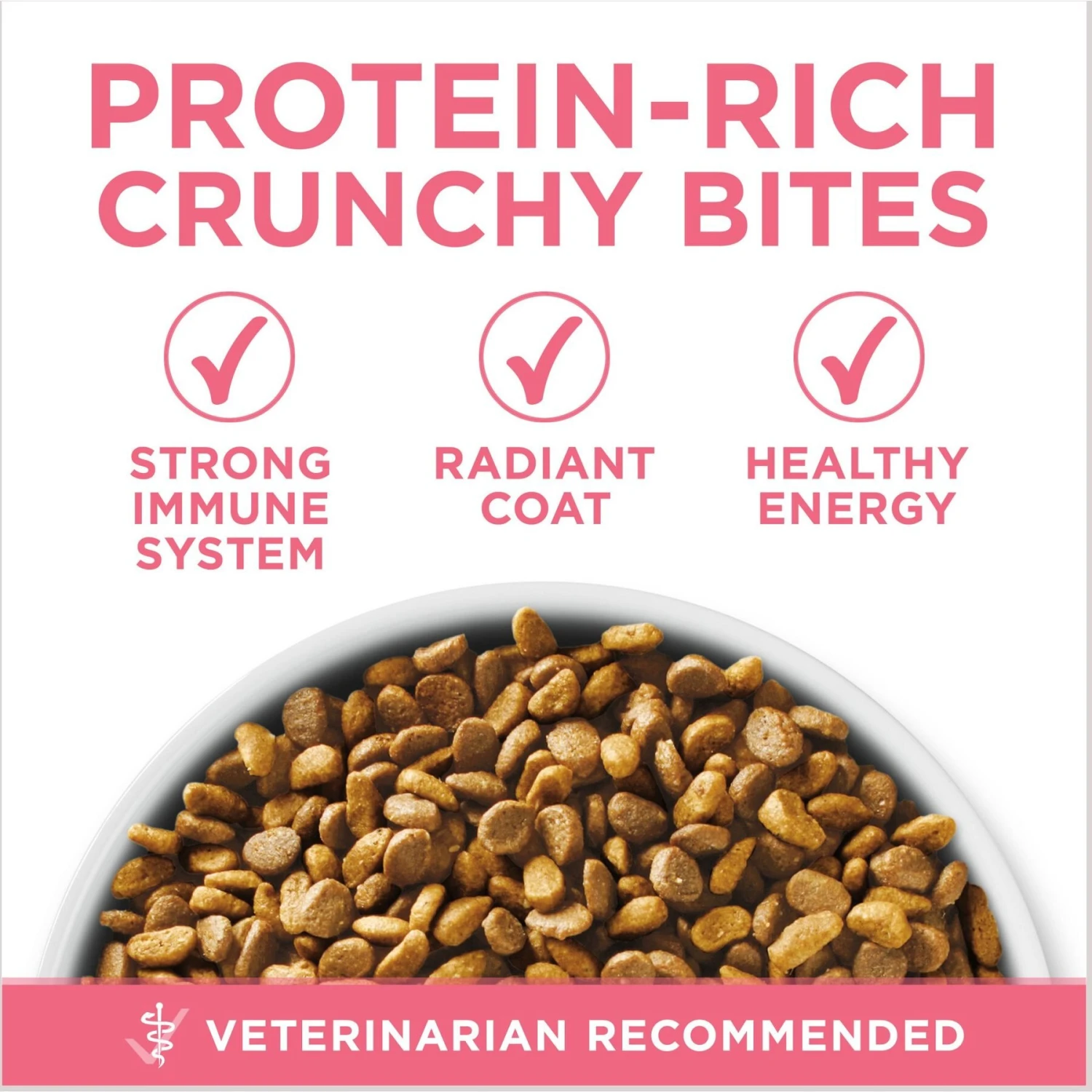 Purina ONE +Plus Healthy Kitten Formula Natural Dry Cat Food & Purina Pro Plan Focus Kitten Favorites Variety Pack Canned Cat Food 5 Purina ONE +Plus Healthy Kitten Formula Natural Dry Cat Food & Purina Pro Plan Focus Kitten Favorites Variety Pack Canned Cat Food - Image 5